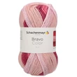 Bravo Color fonal Orchidea