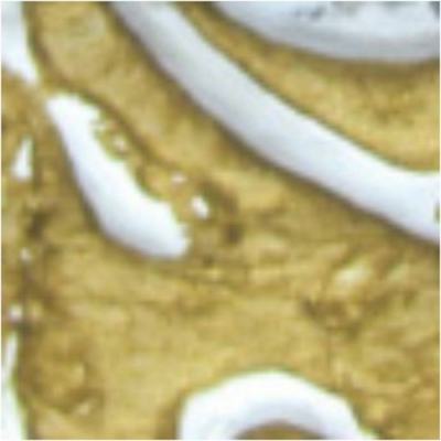 Pentart antikoló paszta antik arany 20 ml